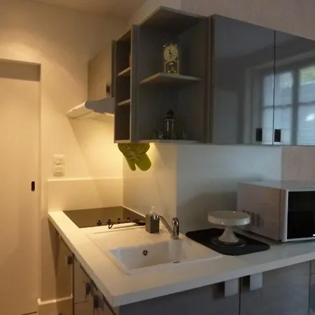 Apartment T1 En Plein Centre Du Mont-dore - Ideal Pour 4 Pers., Proche Thermes Et Commodites - Fr-1-608-184 *